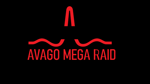 Mega Raid Store Manager ile Raid Yönetimi