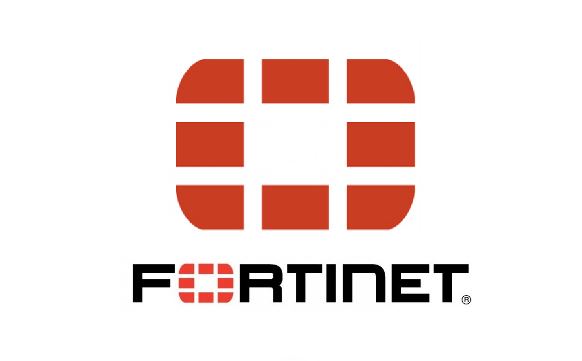 Fortigate VPN Ataklarına Karşın Önlemler