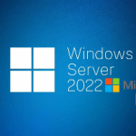 Windows Server 2022 IIS Üzerinden Çoklu Site Yayımı