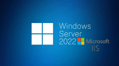 Windows Server 2022 IIS Üzerinden Çoklu Site Yayımı